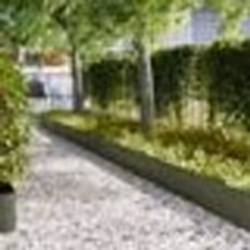 vidaXL Bordures de jardin 30 pcs Vert olive 100x0,5x30 cm Acier