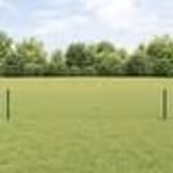 vidaXL Clôture Euro avec 22 poteaux verts 0,4x50 m en acier