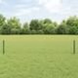 vidaXL Clôture Euro avec 22 poteaux verts 0,4x50 m en acier