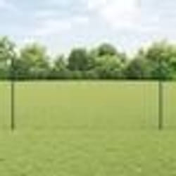 vidaXL Ensemble de Clôture de Jardin Ensemble de 2 Vert Métal 10 x 1,2 m
