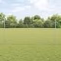 vidaXL Clôture Euro avec 10 poteaux Argent 1,2x10 m Acier