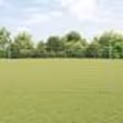vidaXL Clôture Euro avec 10 poteaux en U Argent 1,5x10 m Acier