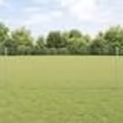 vidaXL Clôture Euro avec 11 poteaux en U Argent 0,8x25 m Acier