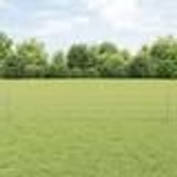 vidaXL Clôture Euro avec 22 poteaux en U Argent 0,4x50 m Acier