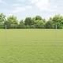 vidaXL Clôture Euro avec 22 poteaux en U Argent 1x25 m Acier