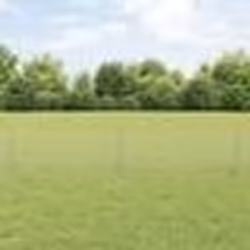 vidaXL Clôture en chaîne avec 22 poteaux U Argent 0,4x25 m Acier