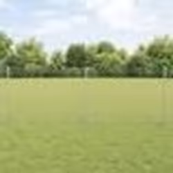 vidaXL Set de clôture de jardin Ensemble de 2 Acier galvanisé Grand