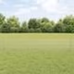 vidaXL Clôture en fil soudé avec 5 poteaux en U Argent 0,4x10 m Acier