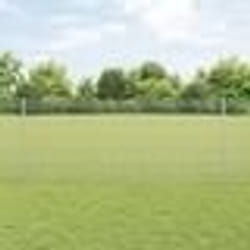 vidaXL Ensemble de clôture de jardin 2 pièces Acier galvanisé 10 x 1 m