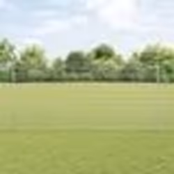 vidaXL Ensemble de clôture 2 pièces Acier galvanisé 10 x 1,5 m Robuste