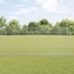 vidaXL Clôture en fil soudé avec 22 poteaux U Argent 1.5x25 m Acier