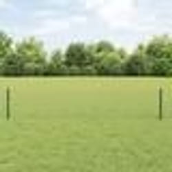 vidaXL Set de Clôture de Jardin Hexagonal Set de 2 Vert