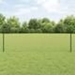 vidaXL Ensemble de clôture de jardin hexagonale Ensemble de 2 Vert