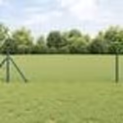 vidaXL Clôture hexagonale Vert 1000 x 40 x 0.07 cm