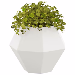 Vidaxl Jardinière 2 Pcs Blanc 75 X 75 X 60 Cm Acier - Vue supplémentaire 3
