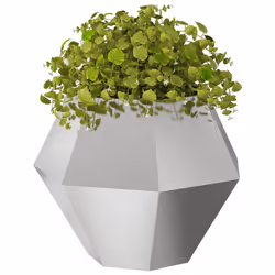 Vidaxl Jardinière Argent 75 X 75 X 60 Cm Acier Inoxydable - Vue supplémentaire 3