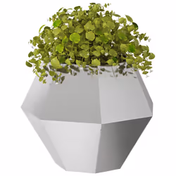 Vidaxl Jardinière 2 Pcs Argent 50 X 50 X 40 Cm Acier Inoxydable - Vue supplémentaire 3