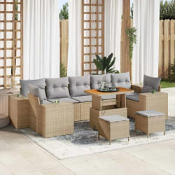 vidaXL Ensemble de canapé de jardin 10 pcs Beige et Gris clair