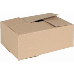Boîte Pliable 50 pcs Marron 25 x 17.5 x 10 cm Carton Vidaxl