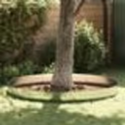 Bordures de pelouse vidaXL 30 pcs 25x100 cm Acier galvanisé flexible