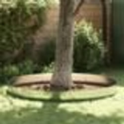 Bordures de pelouse vidaXL 30 pcs 25x100 cm Acier galvanisé flexible