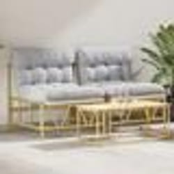vidaXL Chaises Relaxantes de Jardin 2 pcs avec Coussin 60x80x71 cm Acier