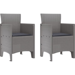 Vidaxl - Chaises de jardin avec coussins 2 pcs Gris clair Poly Rattan