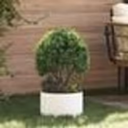 vidaXL Pot en métal blanc Blanc Métal Moyen Incrustations décoratives