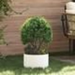 vidaXL Pot en métal blanc Blanc Métal Moyen Incrustations décoratives