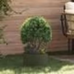 vidaXL Pot en métal vert olive Vert olive Métal Moyen Jardinières