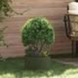 vidaXL Pot en métal vert olive Vert olive Métal Moyen Jardinières