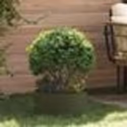vidaXL Pot de fleurs vert olive Vert olive Métal Moyen Durable
