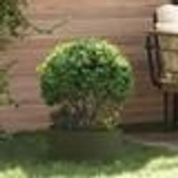 vidaXL Pot de fleurs vert olive Vert olive Métal Moyen Durable
