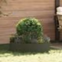 vidaXL Pots verts olives Vert olive Métal Grand