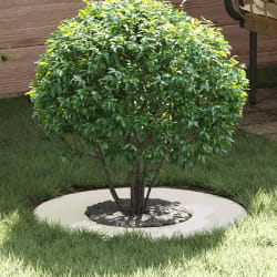 vidaXL Anneau d'arbre plat Blanc Ø30 / 60 cm Acier