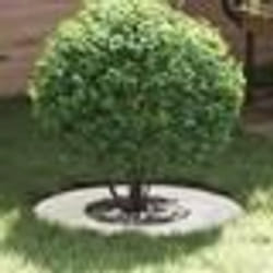 vidaXL Pot en plastique Blanc Plastique Grand Pot moderne Rond