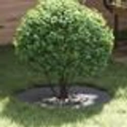 vidaXL Pot en résine Anthracite Résine Moyen Jardinières