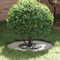 vidaXL Anneau d'arbre plat Argent Ø30 / 60 cm Acier galvanisé