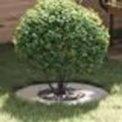 vidaXL Jardinière en métal galvanisé Galvanisé Acier galvanisé