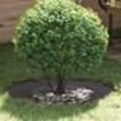vidaXL Anneau de Pot en Métal Noir 70 cm de diamètre