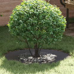 vidaXL Anneaux d'arbre plats 5 pcs Noir Ø40 / 70 cm Acier