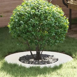 vidaXL Anneaux d'arbre plats 5 pcs Blanc Ø40 / 70 cm Acier