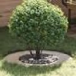 vidaXL Cercle de Jardin Acier inoxydable Grand Résistant Circulaire