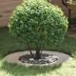 vidaXL Cercle de Jardin Acier inoxydable Grand Résistant Circulaire