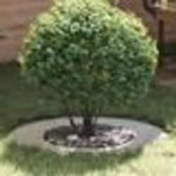 vidaXL Pot en métal galvanisé Galvanisé Fer galvanisé Grand Durable