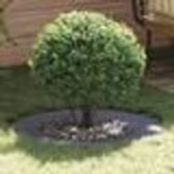 vidaXL Pot en Plastique Anthracite Plastique Grand Costaud Rond