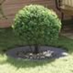 vidaXL Pot en Plastique Anthracite Plastique Grand Costaud Rond
