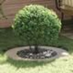 vidaXL Pot en acier inoxydable Acier inoxydable Grand Durable Rond