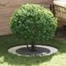 vidaXL Pot Blanc Blanc Plastique Grand Léger Pot en Plastique
