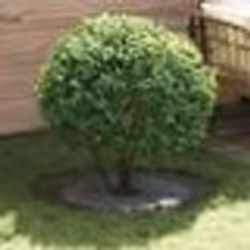vidaXL Pot en métal vert olive Métal Grand Pot Rond Minimaliste